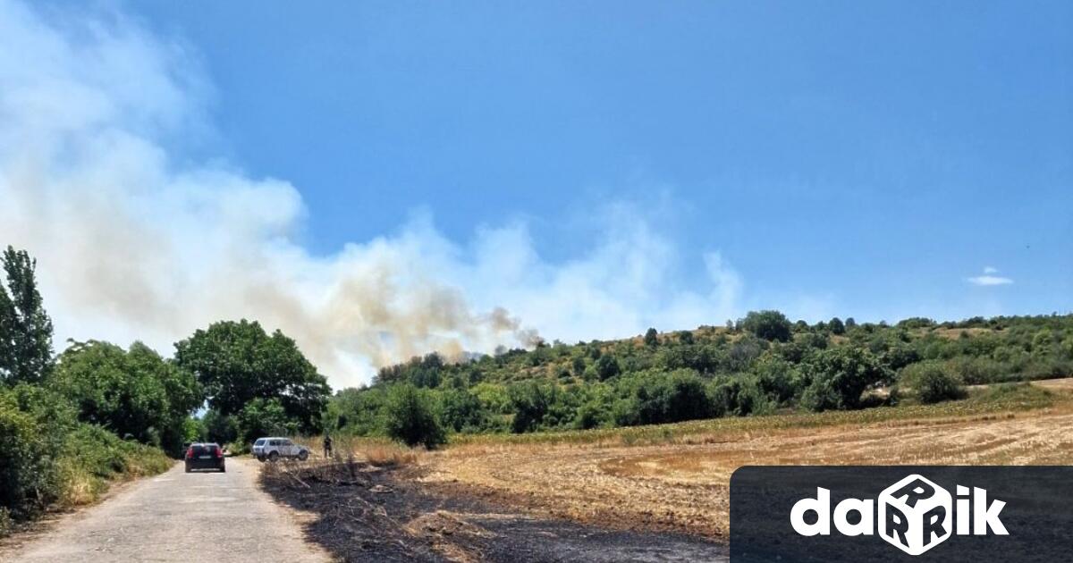Пожар пламна в района между село Козаново и Асеновград в