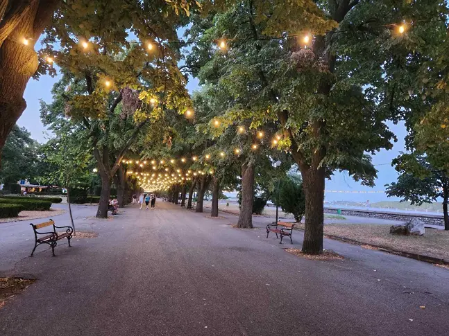 Нова светлинна украса ще озарява Крайдунавския парк във Видин