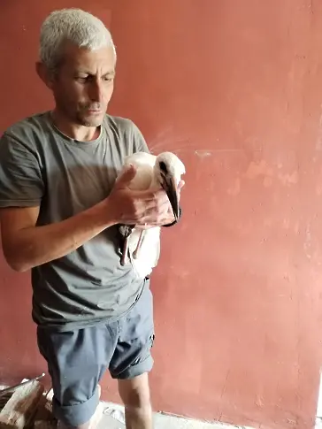 Мариета и Венцислав от с. Аспарухово спасиха пострадал щъркел