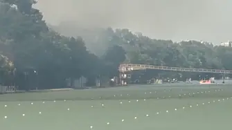 Голям пожар избухна на Гребната база в Пловдив. Кметът: Няма опасност, стихията е локализирана