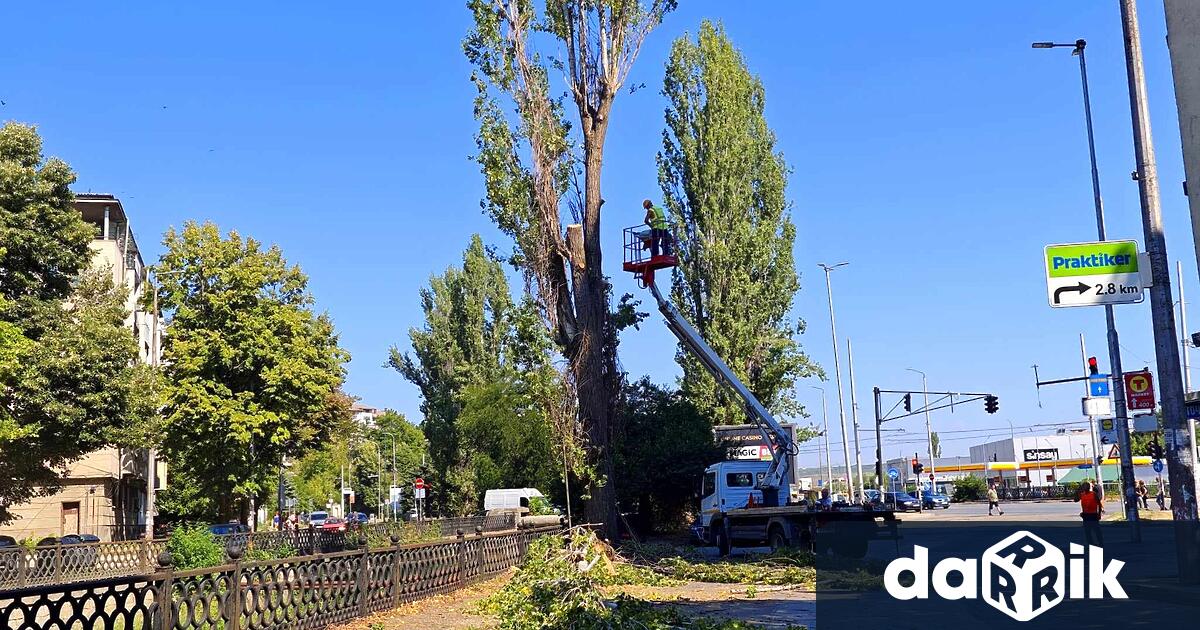 От днес 29 юли до 2 август работници на общинската