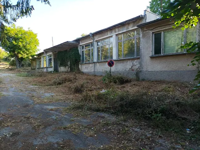 Почистват района на бившата ветеринарна лечебница в Плевен, местят част от дейността на приюта за безстопанствени животни  