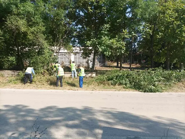 Почистват района на бившата ветеринарна лечебница в Плевен, местят част от дейността на приюта за безстопанствени животни