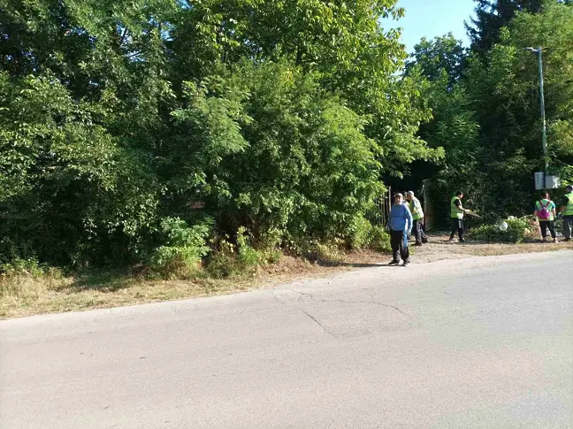 Почистват района на бившата ветеринарна лечебница в Плевен, местят част от дейността на приюта за безстопанствени животни