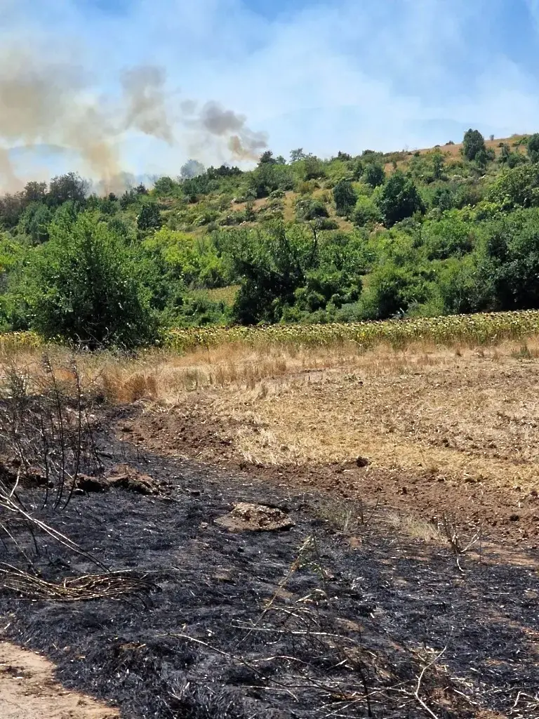 Пожарите в Пловдивска област са овладени