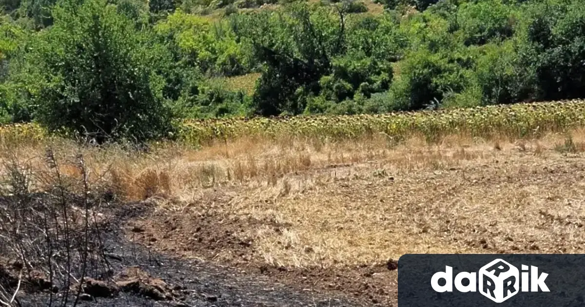 Потушен е пожарът край град Баня и село Ведраре в