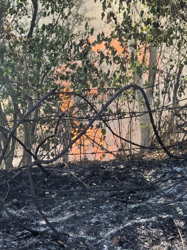11 екипа огнеборци гасят пожар до „40-те извора“ (снимки) 
