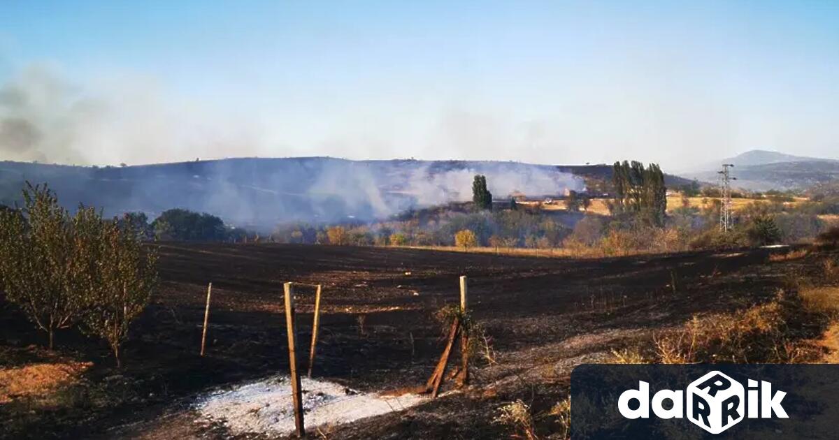 1 578 лв еднократна помощ за пострадали при пожарите през