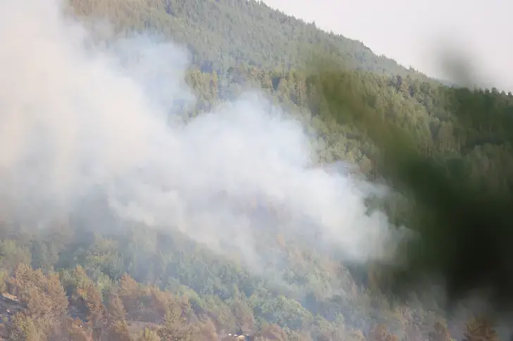  Снимка: Българска телеграфна агенция 