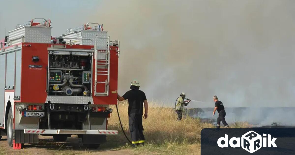 Ограничен е пожарът в Сакар планина като все още е