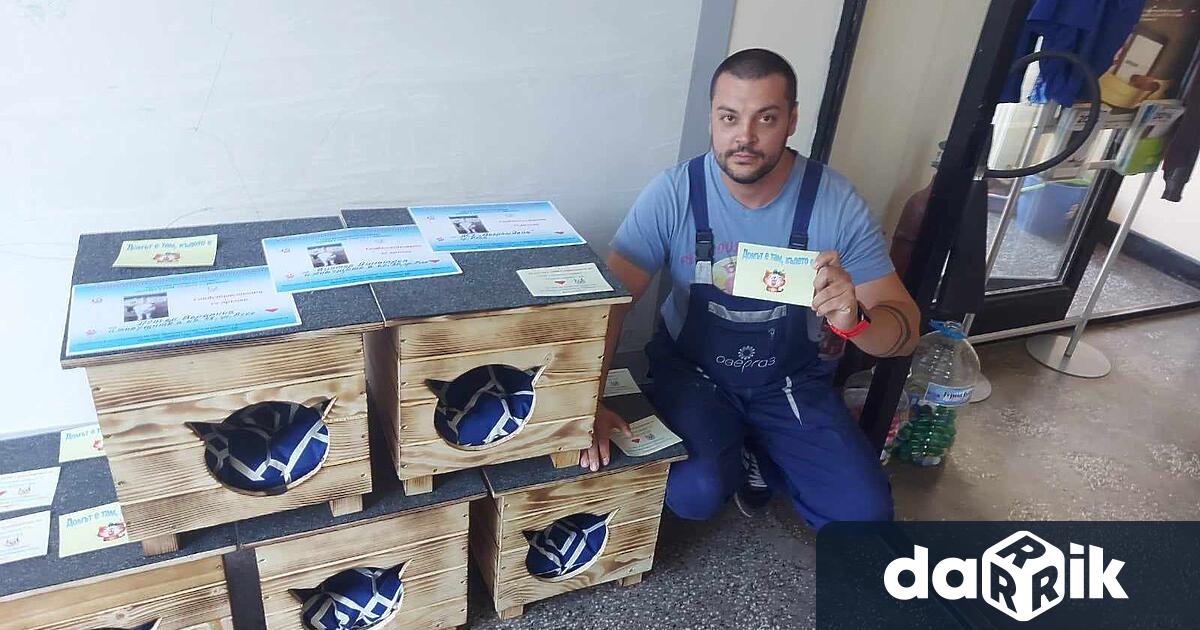 Днес на 8 август – Световният ден на котката бяха