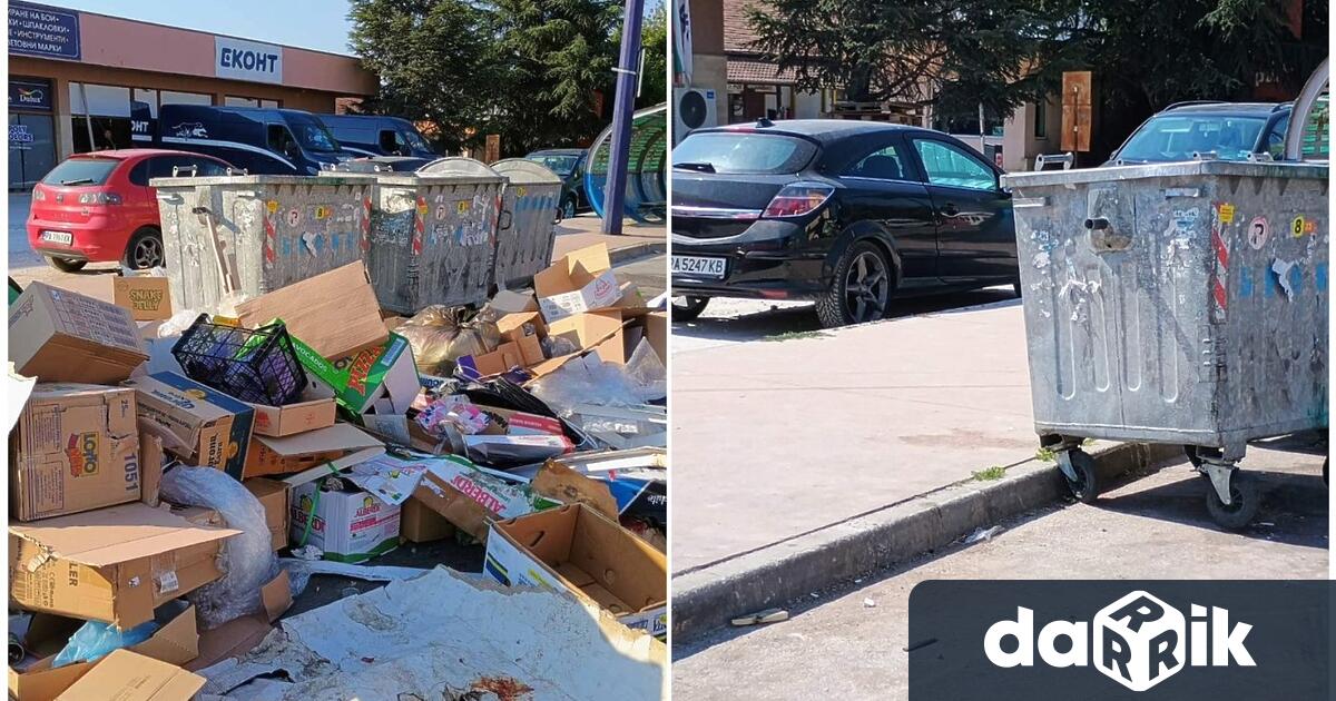 Дейността на новото звено към Обшина Пазарджик Зелени патрули