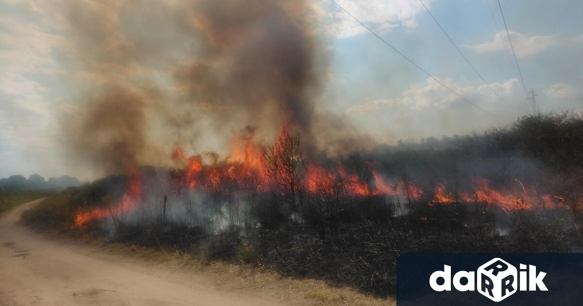 Пожар в землището на с Арчар община Димовобелокализиран и овладян след като