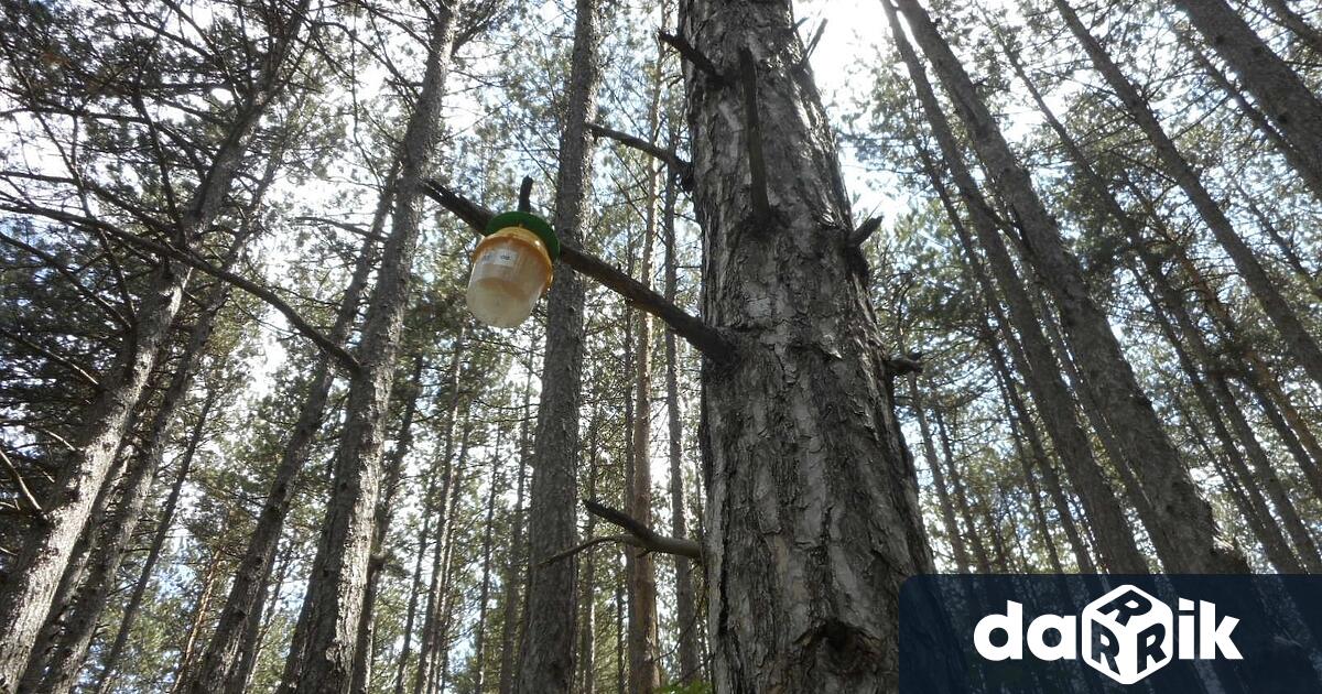 Във връзка с повишения интерес на граждани и гости на