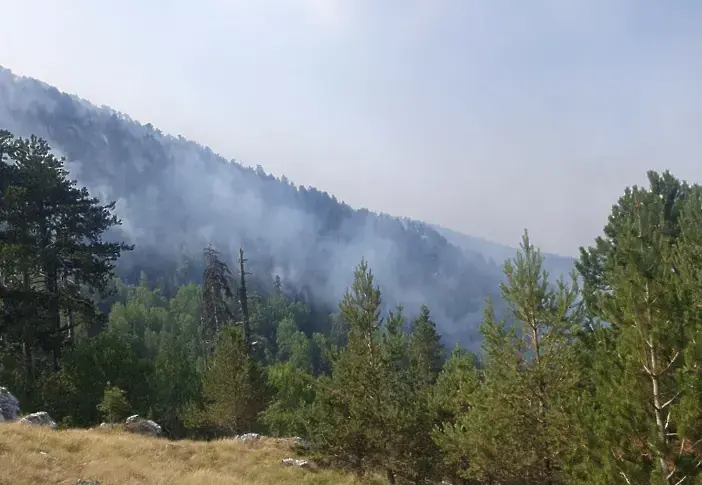 Снимка: Министерство на защитата 