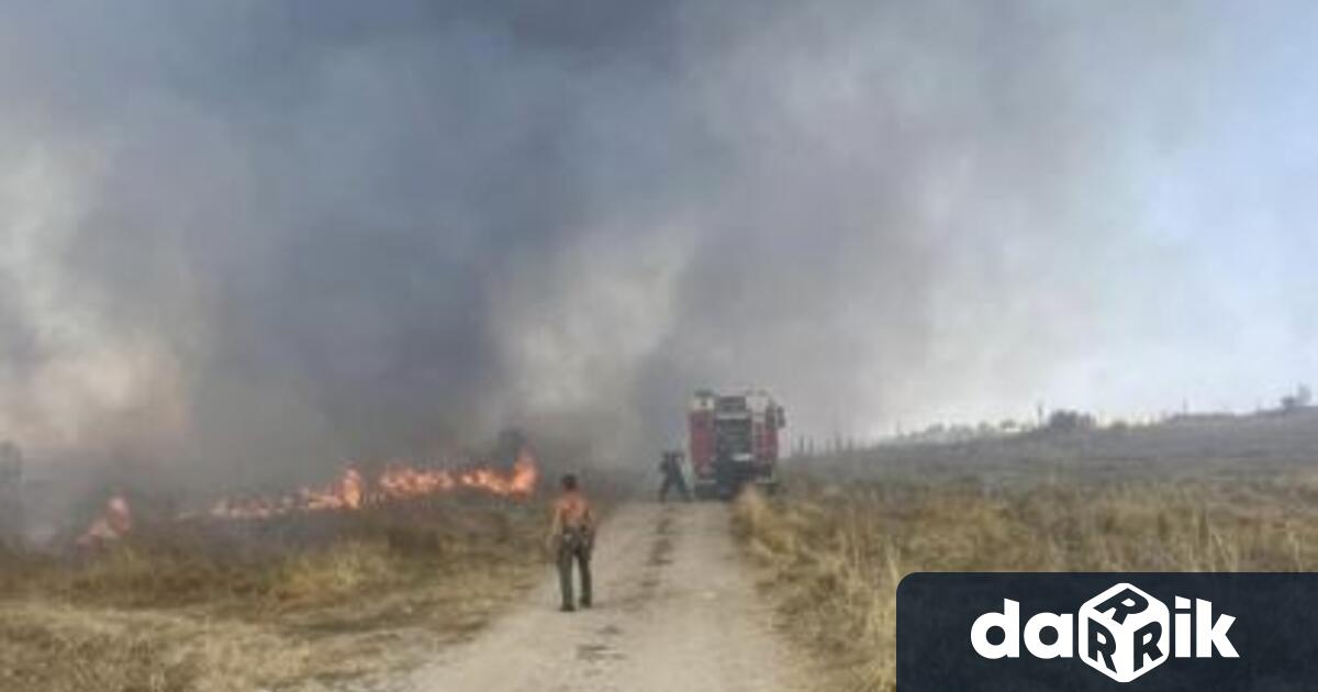 Овладян епожарът край врачанското село Лиляче съобщиха от Община Враца Намястото