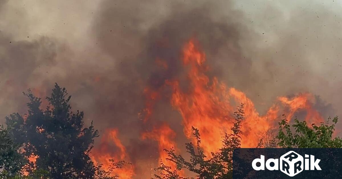 Голям пожар избухна в днешния следобед във вилна зона Дондуково