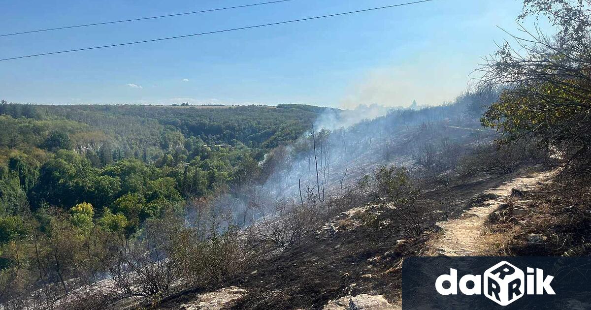 Пожарът в местността Плочата над парк Кайлъка в района на