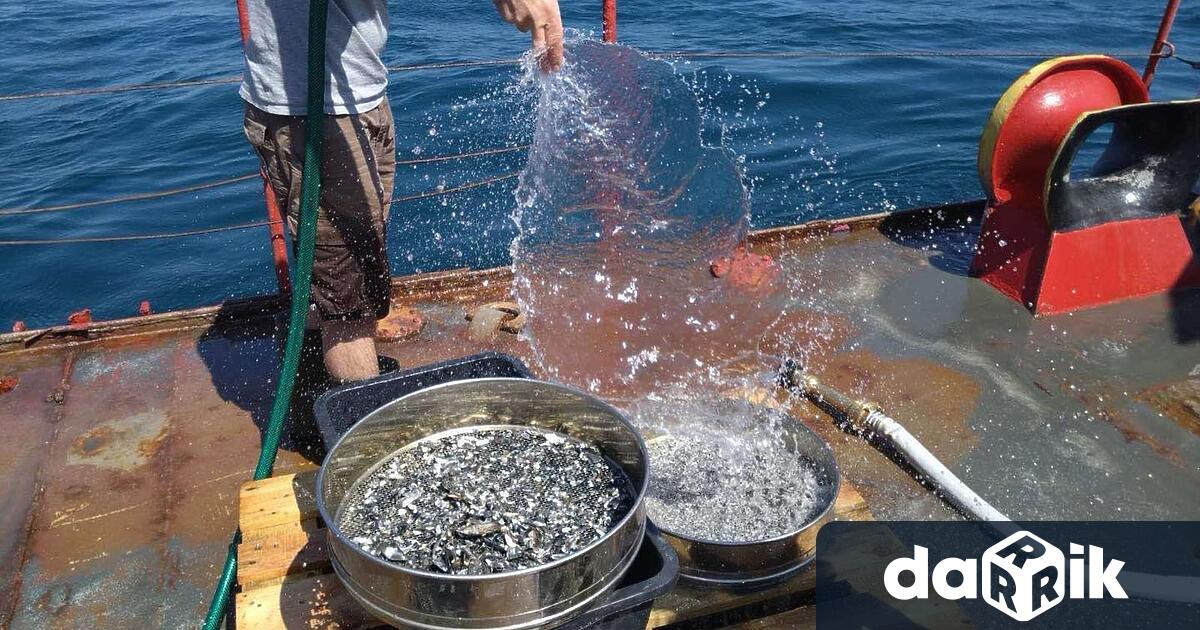 Извършва се анализ на морската околна среда по проект на