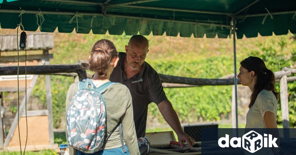 Добра среща Нека си поговорим Реставраторът Александър Константинов снимка – Надежда