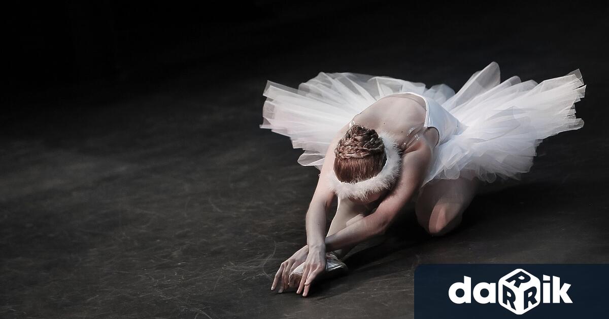 Бургас отново ще бъде домакин на лятното училище на световната