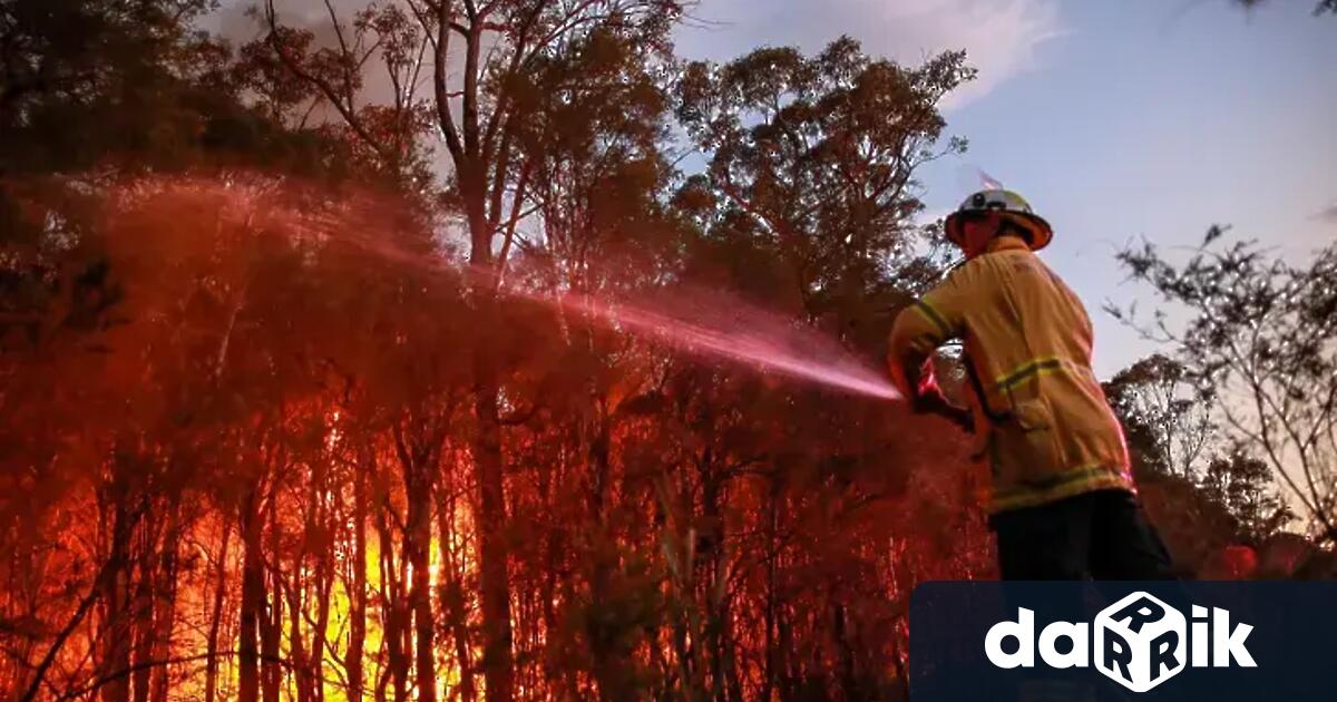 Тазгодишният горещ юли в България причини близо 150 горски пожара