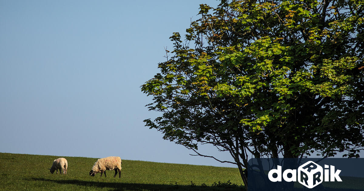 Днес ще бъде предимно слънчево Ще духа слаб в източните