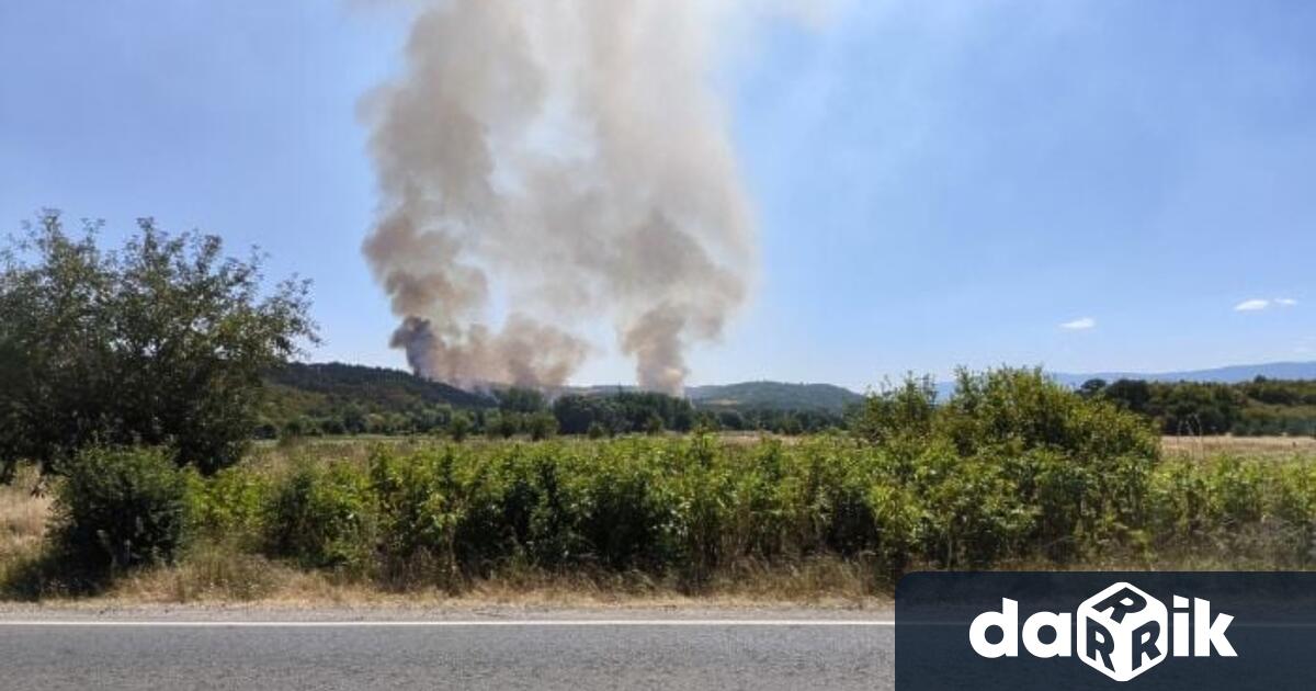 Пожар възникна в землището на село Неделкова Гращица в района