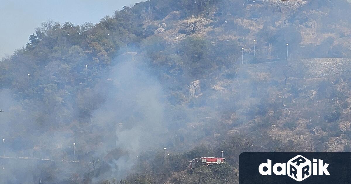 Гори северния склон на Младежкия хълм в Пловдив Час и