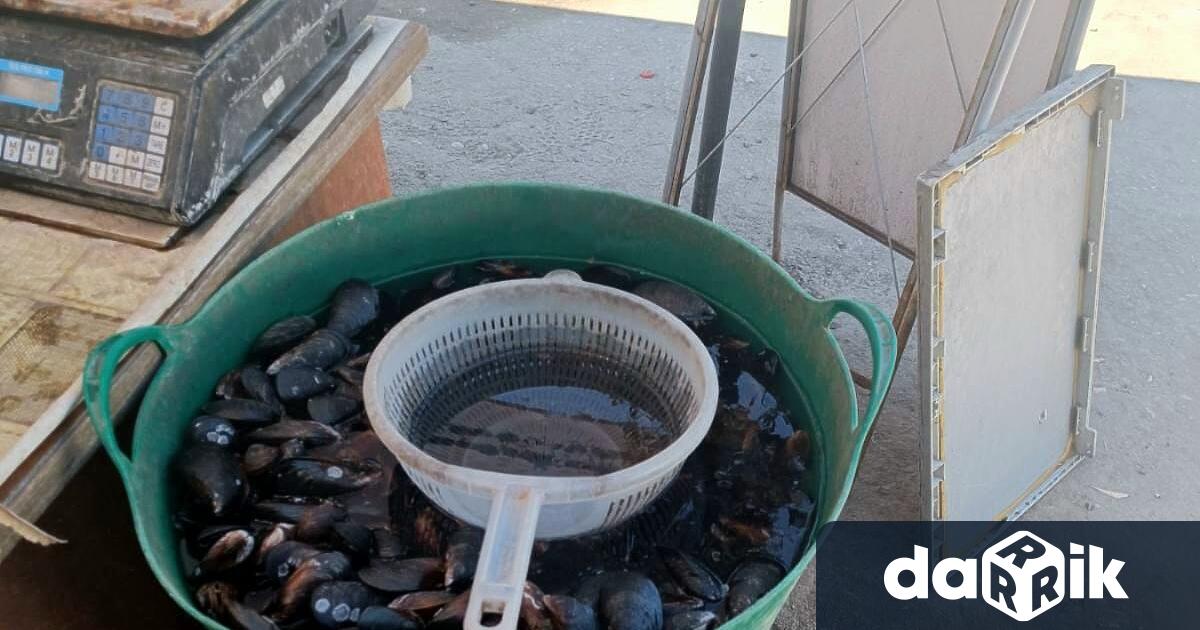 В квартал Аспарухово е установено лице извършващо незаконна преработка транспорт