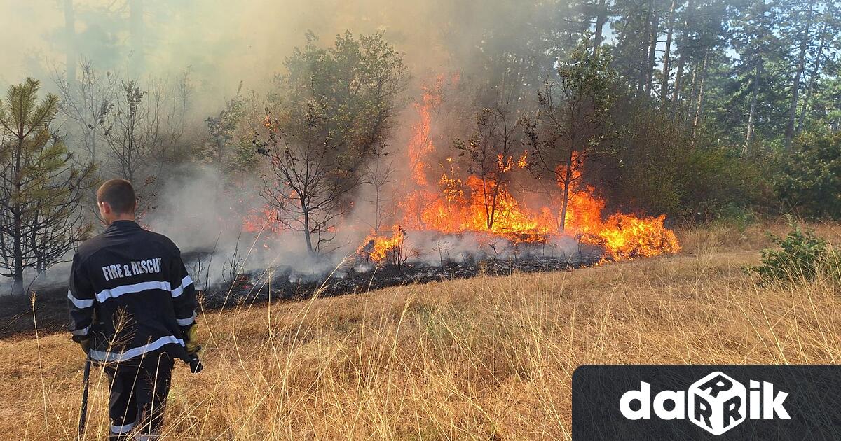 Горски пожар между ловешките села Баховица и Николаево е възникнал