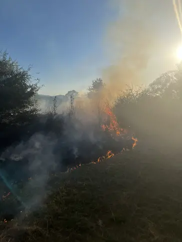 Доброволци гасиха пожар в Стара река