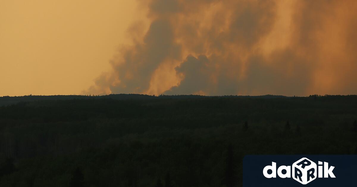 Пожар горя в регионалното депо за неопасни отпадъци в село