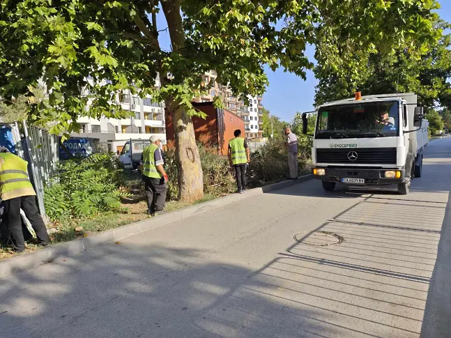 Общински екипи продължават с почистването на изрязаните сухи клони в Плевен/СНИМКИ/