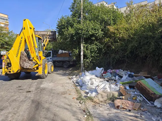 Общински екипи продължават с почистването на изрязаните сухи клони в Плевен/СНИМКИ/