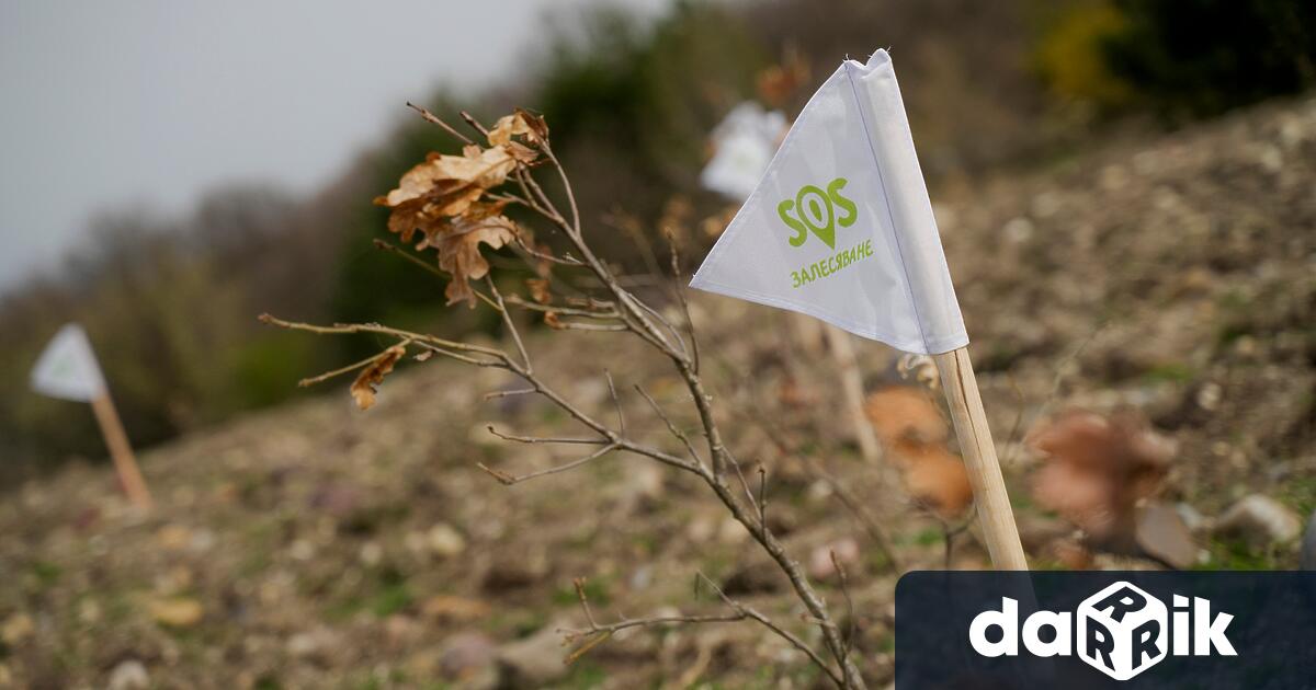 Община Твърдица е големият победител в първия национален конкурс за