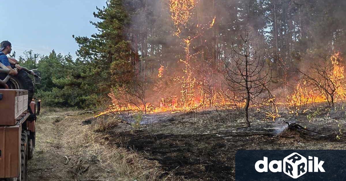 Трети ден екип на Държавно горско стопанство Лесидрен се бори