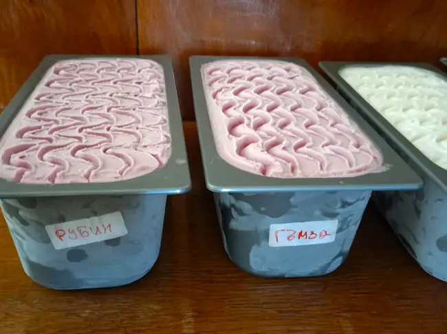 С открит ден плевенският Институт по лозарство и винарство се присъединява към фестивала на виното и фермерските деликатеси „Time for Wine“