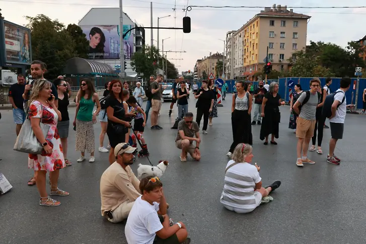 Софиянци протестират срещу изсичането на дървета по „Опълченска“ (СНИМКИ)