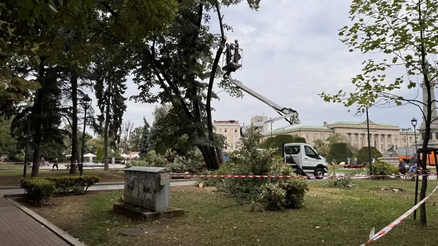 Премахване на изсъхнали дървета ще затвори част от площад „Свобода“ утре