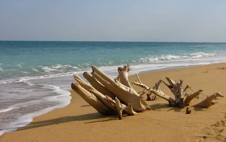  Хубаво ще е времето и по морето, само че там ще духа и североизточен вятър 