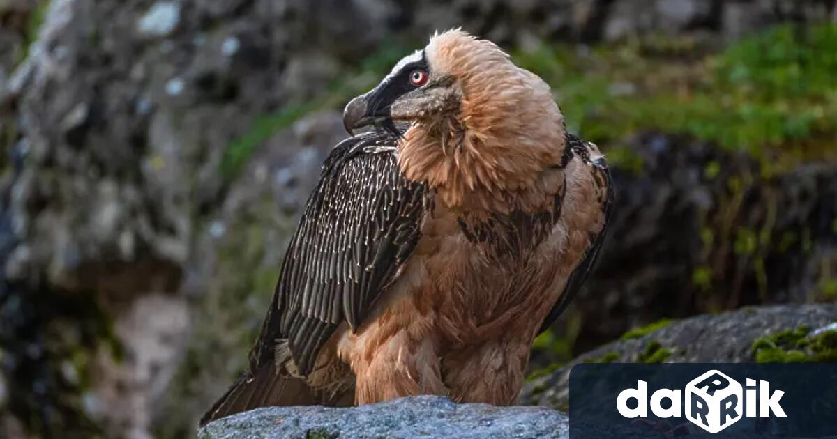 За поредна година на датата 3 ти септември се отбелязваMеждународният ден