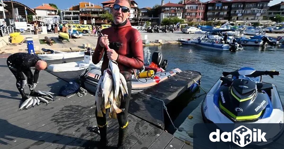 Състезателите на спортен клуб по подводен риборов Черноморец Бургас триумфираха