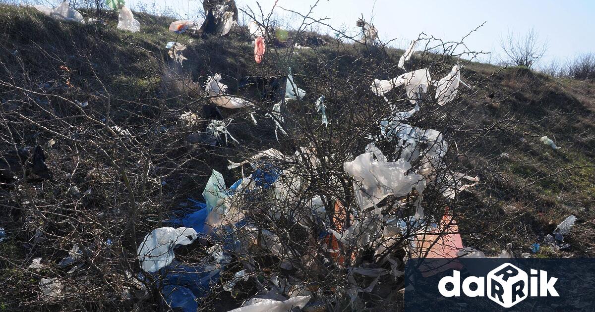 През август експертите на РИОСВ – Пловдив направиха 123 проверки