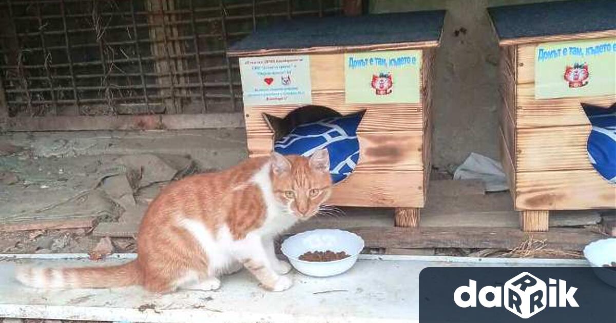 От 15 септември кварталните любимци – Добри Карамел Пупи и