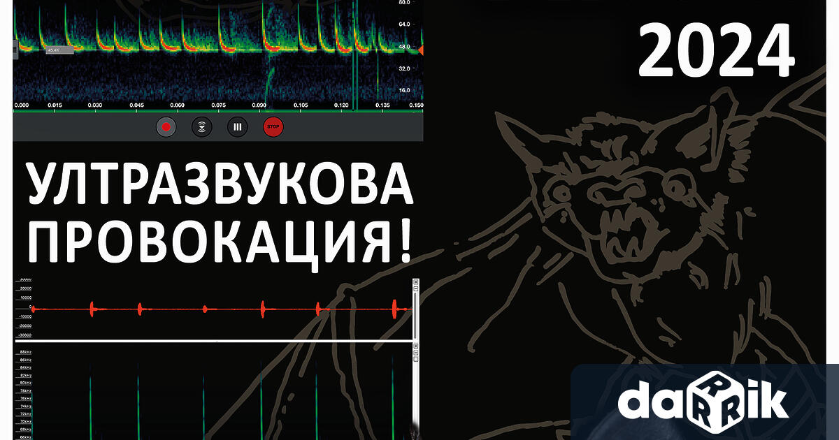 17 00 18 00 ч – В ръкавиците на прилепаря –