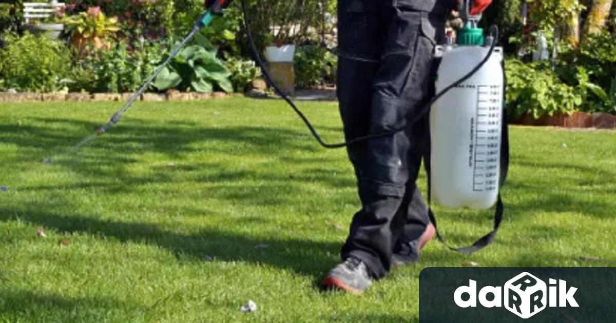 Пръскат извънредно срещу комари в Пловдив От ОП Дезинфекционна станция