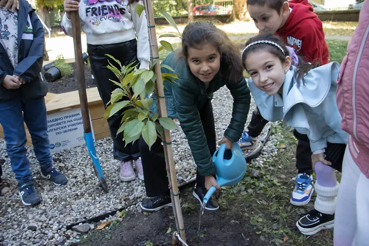 Училищен двор в Плевен става по-зелен с кътове за четене и отдих 