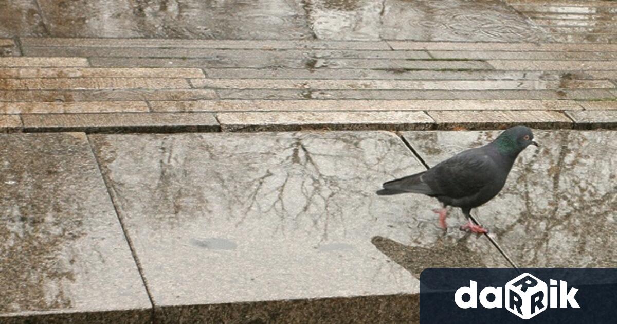 В неделя ще има значителна облачност с валежи от дъжд