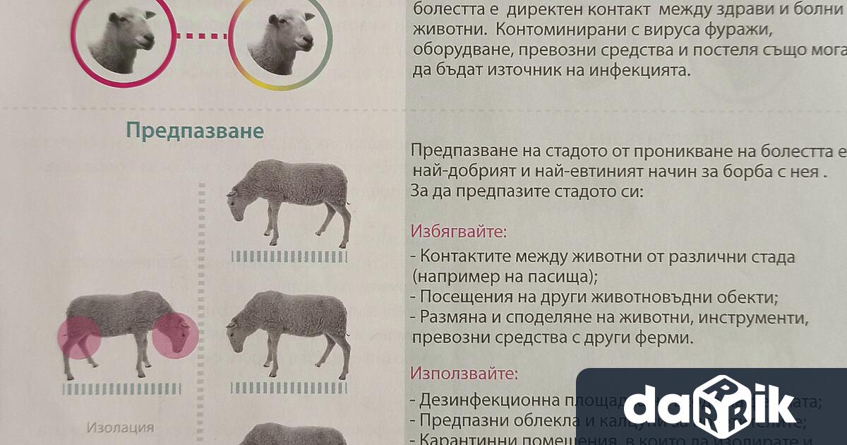 Към момента няма данни за разпространение на шарка и чума